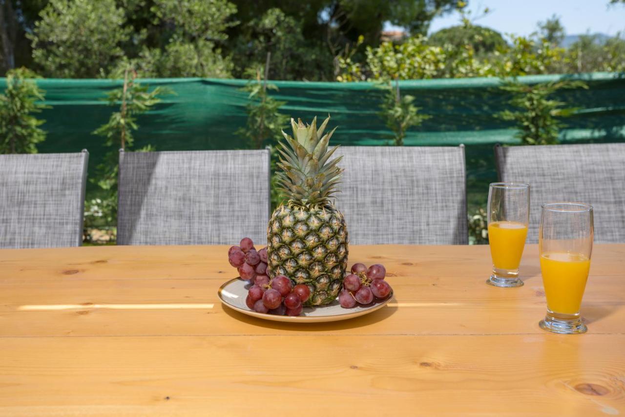 Villa Melody Complex Akrotiri  Екстериор снимка